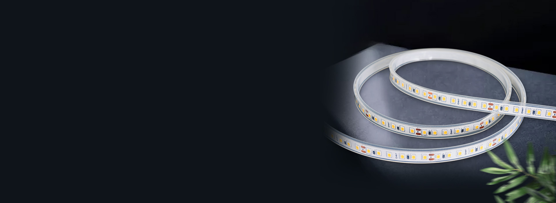 DD32/33系列低壓燈帶 安全低壓，...