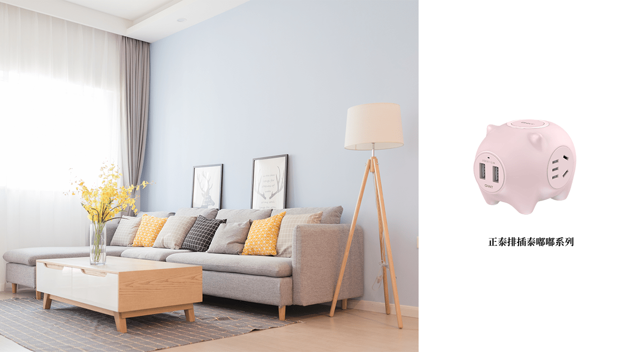 新年裝修交給正泰居家，為您打造品質(zhì)生活2