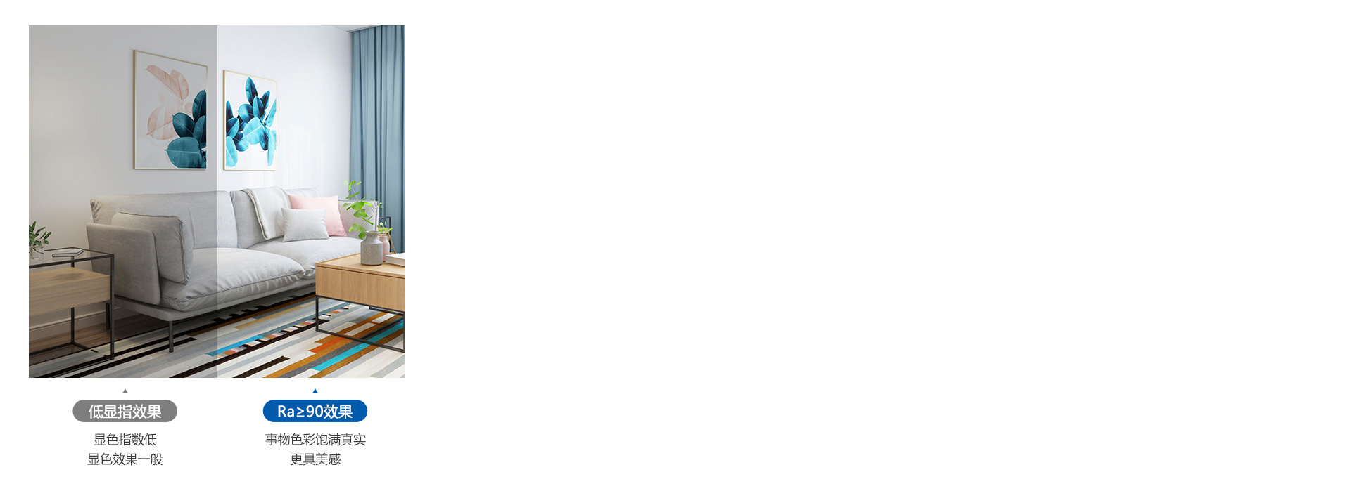 Ra≥90高顯指，事物之美真實顯露 光...