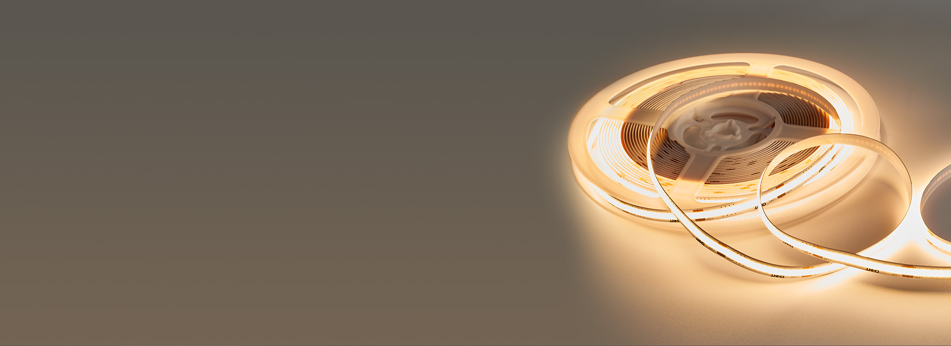 燈帶：DD42/DD43系列 邂逅心動...