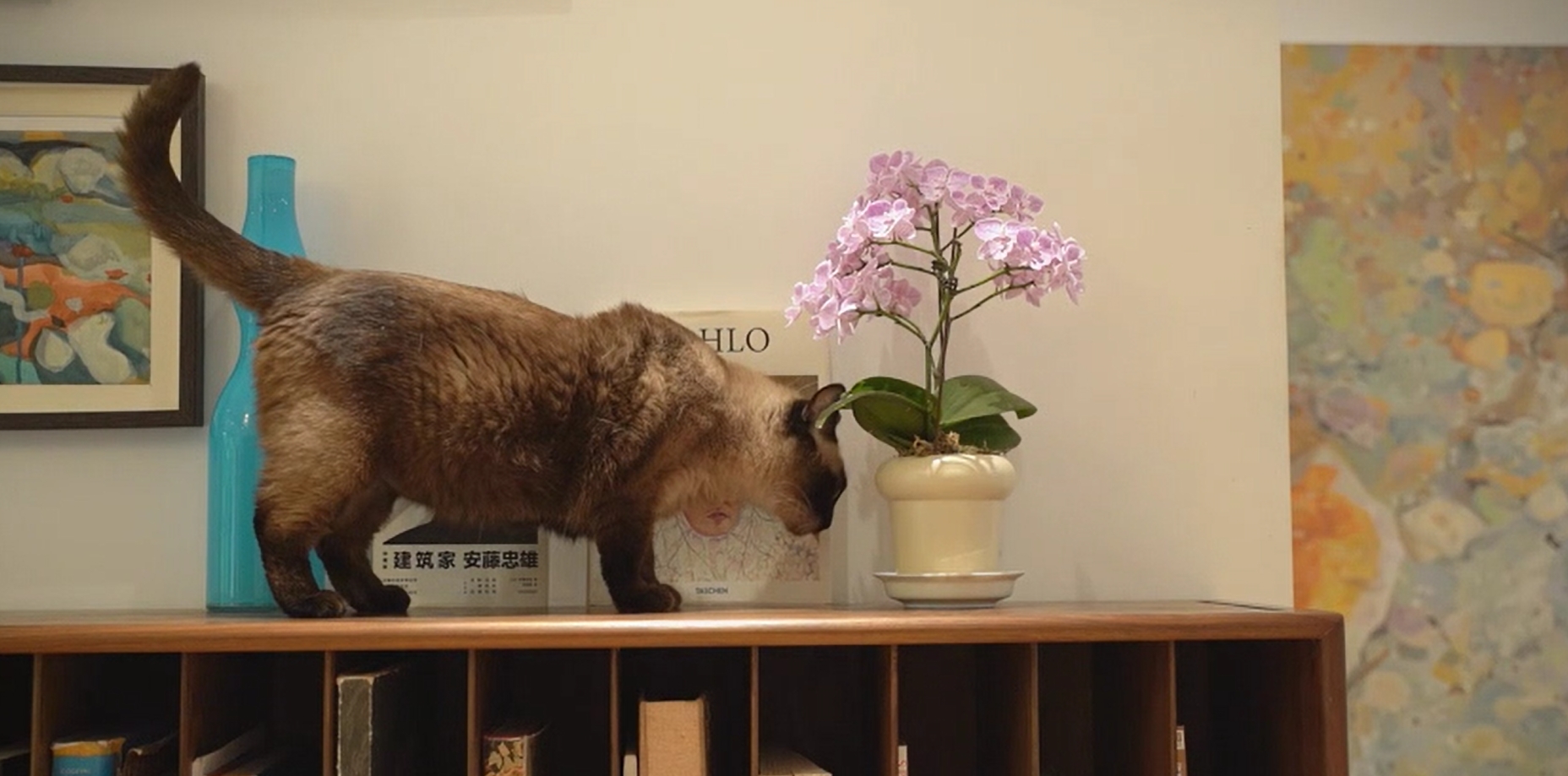 正泰T7開關(guān)業(yè)主探訪錄（2）